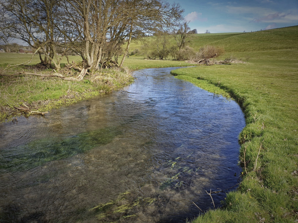 River Cerne Beat