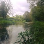 All is Calm
