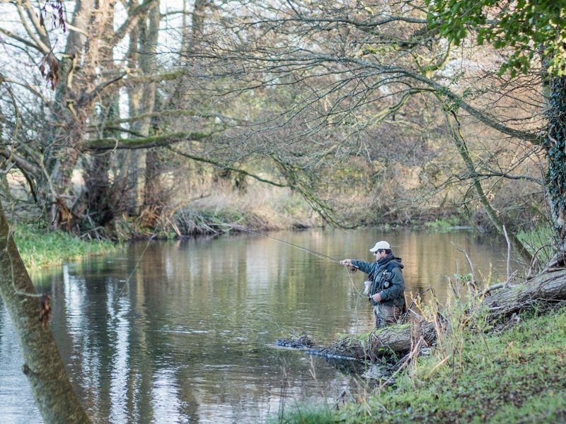 Winter Grayling