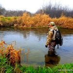 Winter Grayling
