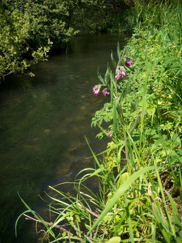Bhompston