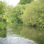 Bhompston